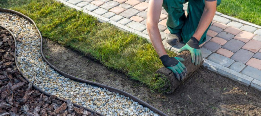 landscaping, man, sidewalk, stone, dirt, grass
