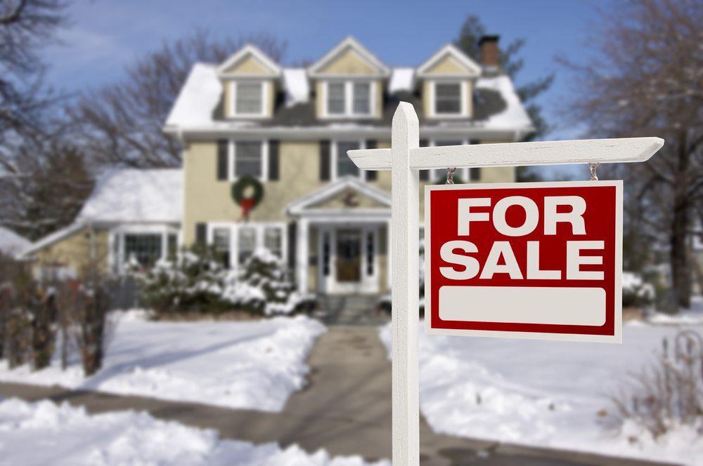 House For Sale in The Winter