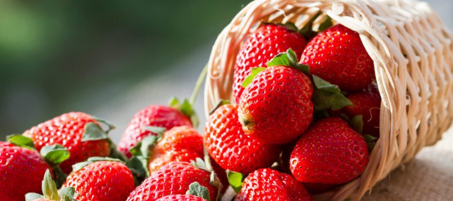 looking for something to do in stouffville this summer? visit the stouffville strawberry festival